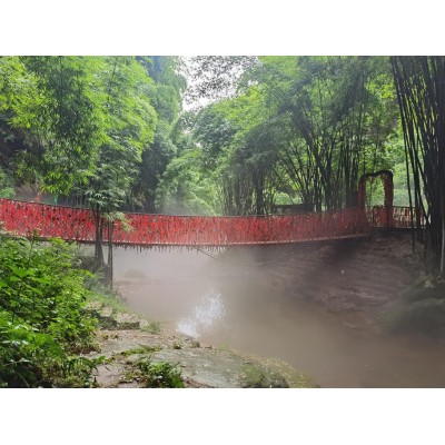 川西竹海景区Bamboo Canyon Scenic Area (Jinji Valley)