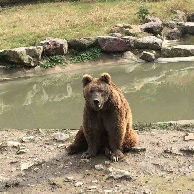 宁波野生动物园Youngor Zoo