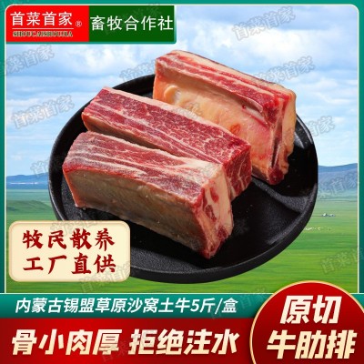 首菜首家内蒙黄膘牛肋排骨斤/件冷冻食品牛软排牛大排牛肉